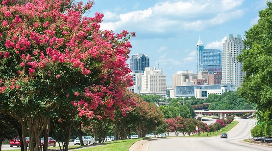 Rodriguez CPA|Raleigh