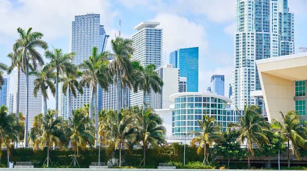 Rodriguez CPA|Tampa