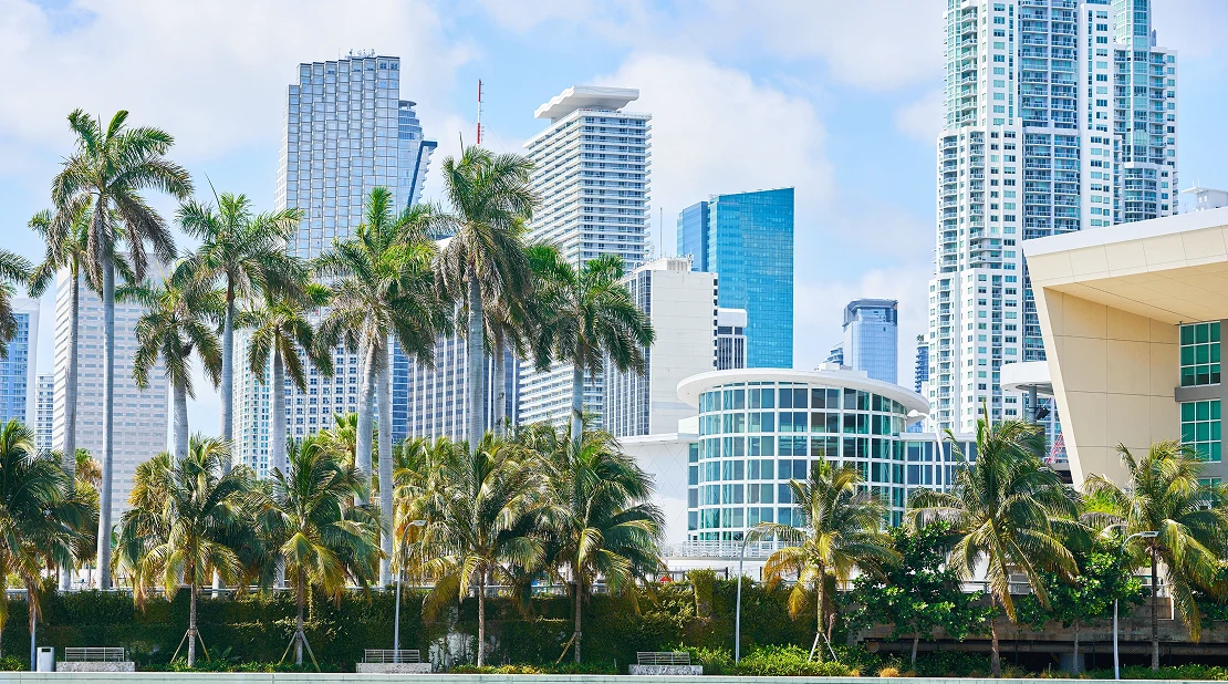 Rodriguez CPA|Miami